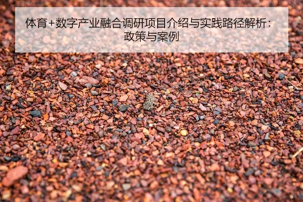 体育+数字产业融合调研项目介绍与实践路径解析：政策与案例